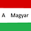amagyar